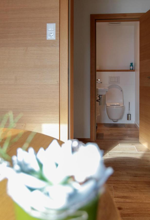 ラムサウ・アム・ダッハシュタイン Haus Harmonyヴィラ エクステリア 写真